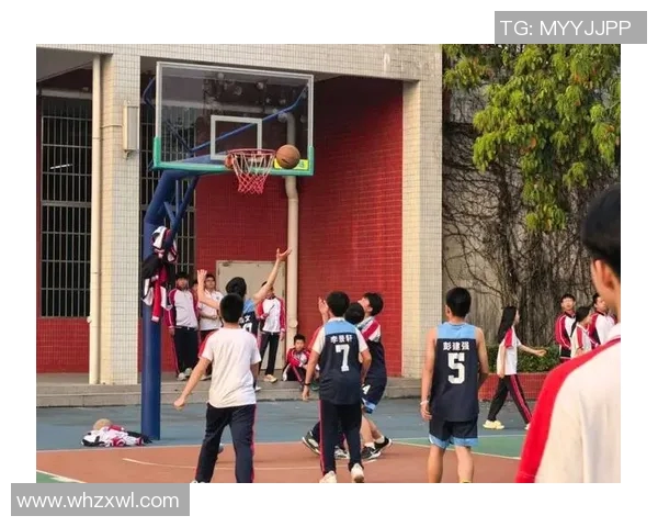 大专学历篮球明星的崛起与奋斗故事揭秘青春与梦想的交织 大专学历篮球明星的崛起与奋斗故事揭秘青春与梦想的交织