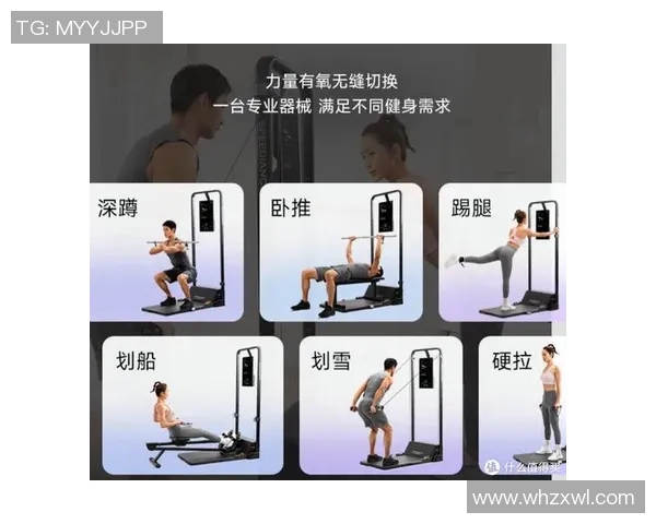 提升健身效果的秘密武器韩国弹力器材全解析与使用技巧分享